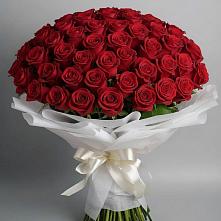 Букет 101 Красная роза Блэк Мэджик в Магнитке