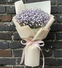 Букет цветов из:  Гипсофила #REPLACE_PRED# Магнитке