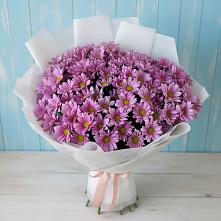 Букет цветов из:  Хризантемы в Магнитке
