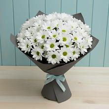 Букет цветов из:  Хризантемы #REPLACE_PRED# Магнитке