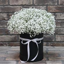 Цветочная композиция из Гипсофила в шляпной коробке в Магнитке