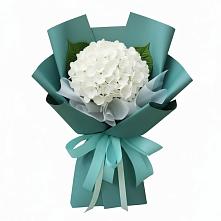 Букет цветов из:  Гортензия в Магнитке